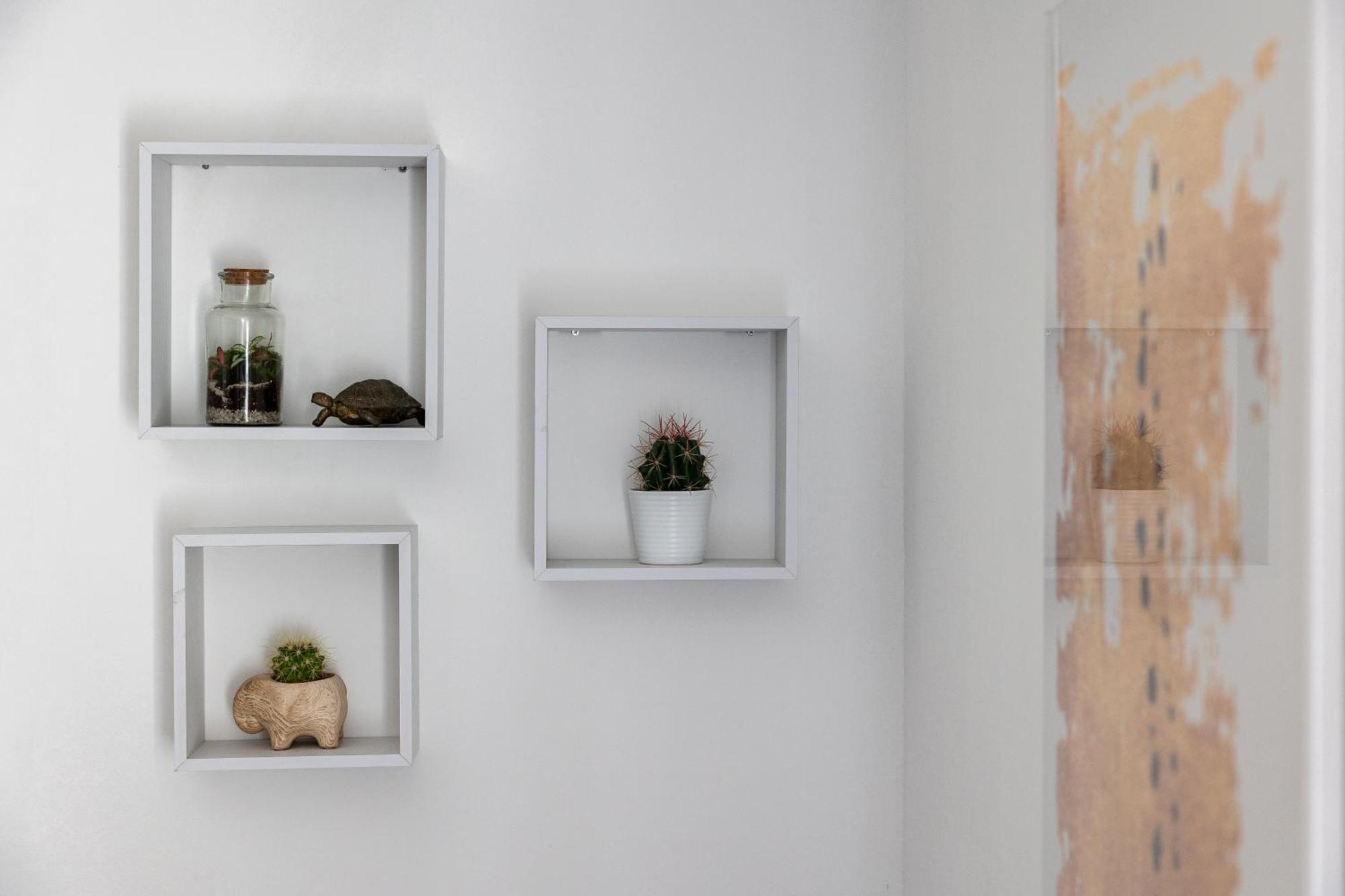 Dubrovnik Domus Apartment Dış mekan fotoğraf